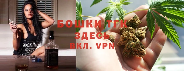 прущие грибы Касимов